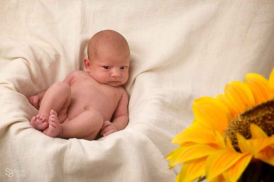fotografo bebe